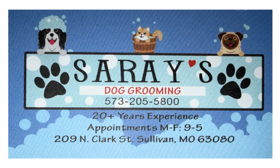 Saray's