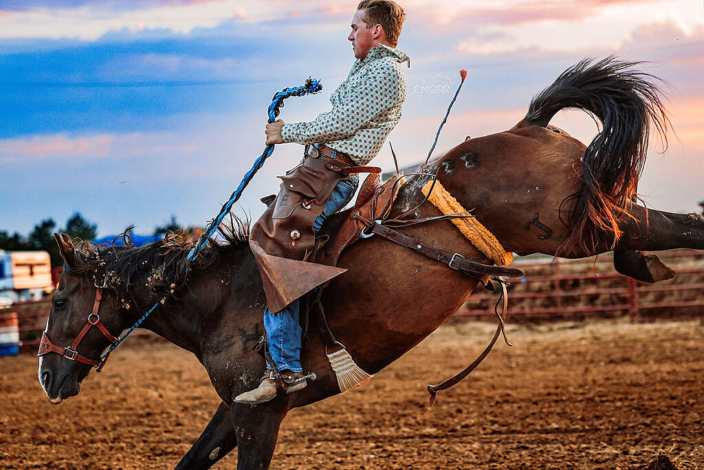 Strip sunset bronc