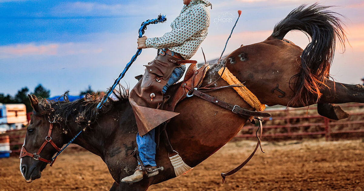 FNTC T-DECK 139 × RIDE RODEO M TNT Rodeo Weekend | TNT Rodeo Weekend